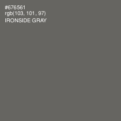 #676561 - Ironside Gray Color Image